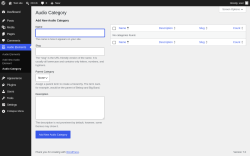 Page screenshot: Audio Elements &rarr; Audio Category