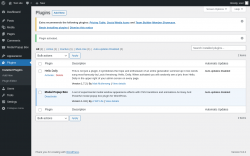 Page screenshot: Plugins &lsaquo; Test site &mdash; WordPress