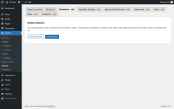 Page screenshot: Modula → Settings → StandalonePRO