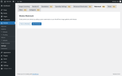 Page screenshot: Modula → Settings → WatermarkPRO