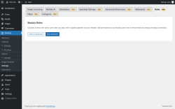 Page screenshot: Modula → Settings → RolesPRO