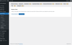 Page screenshot: Modula → Settings → VideoPRO