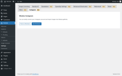 Page screenshot: Modula → Settings → InstagramPRO