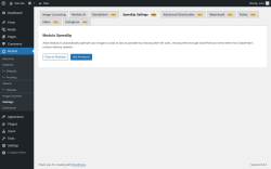 Page screenshot: Modula → Settings → SpeedUp SettingsPRO