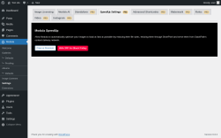 Page screenshot: Modula → Settings → SpeedUp SettingsPRO