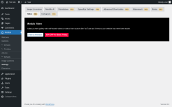 Page screenshot: Modula &rarr; Settings &rarr; VideoPRO