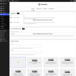 Page screenshot: Modula &rarr; Settings