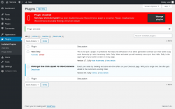Page screenshot: Plugins ‹ Test site — WordPress