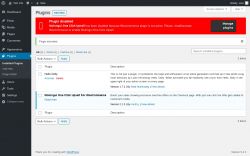 Page screenshot: Plugins ‹ Test site — WordPress
