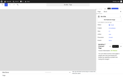 Page screenshot: Add Page &lsaquo; Test site &mdash; WordPress