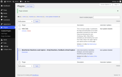 Page screenshot: Plugins &lsaquo; Test site &mdash; WordPress