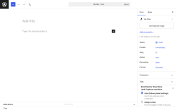Page screenshot: Add Post &lsaquo; Test site &mdash; WordPress