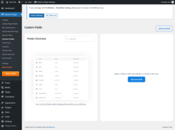 Page screenshot: Motors Plugin → Custom Fields
