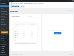 Page screenshot: Motors Plugin → Custom Fields