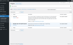 Page screenshot: Plugins ‹ Test site — WordPress