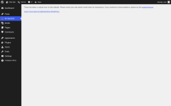 Page screenshot: Mr Backlink &lsaquo; Test site &mdash; WordPress