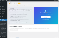 Page screenshot: MrNiche Autoblogger AI &rarr; 🔒 SEO & Schema