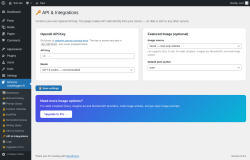 Page screenshot: MrNiche Autoblogger AI &rarr; 🔑 API & Integrations