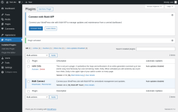 Page screenshot: Plugins &lsaquo; Test site &mdash; WordPress