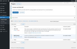 Page screenshot: Plugins &lsaquo; Test site &mdash; WordPress