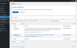 Page screenshot: Plugins &lsaquo; Test site &mdash; WordPress