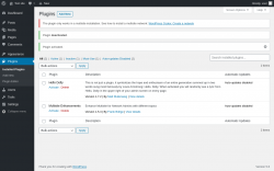 Page screenshot: Plugins ‹ Test site — WordPress