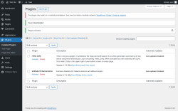 Page screenshot: Plugins ‹ Test site — WordPress