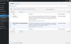 Page screenshot: Plugins ‹ Test site — WordPress