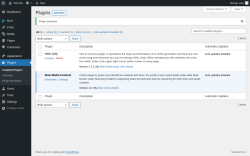 Page screenshot: Plugins &lsaquo; Test site &mdash; WordPress