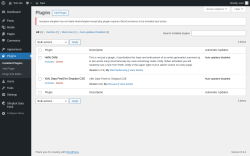 Page screenshot: Plugins &lsaquo; Test site &mdash; WordPress
