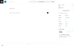 Page screenshot: Add Page &lsaquo; Test site &mdash; WordPress