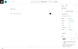 Page screenshot: Add Post &lsaquo; Test site &mdash; WordPress