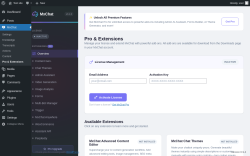 Page screenshot: MxChat &rarr; Pro & Extensions