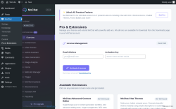 Page screenshot: MxChat &rarr; Pro & Extensions