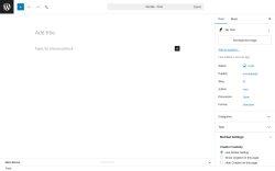 Page screenshot: Add Post &lsaquo; Test site &mdash; WordPress