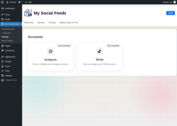 Page screenshot: My Social Feeds &rarr; Settings