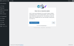 Page screenshot: My Social Feeds &lsaquo; Test site &mdash; WordPress