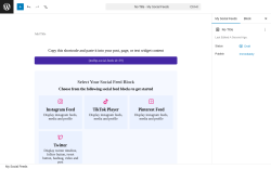 Page screenshot: My Social Feeds &rarr;  ↳ Add New