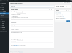 Page screenshot: Payments &rarr; Add New