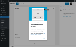 Page screenshot: Widgets &lsaquo; Test site &mdash; WordPress