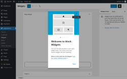 Page screenshot: Widgets &lsaquo; Test site &mdash; WordPress