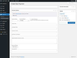 Page screenshot: Payments &rarr; Create New Payment