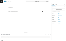 Page screenshot: Add Page &lsaquo; Test site &mdash; WordPress