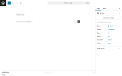 Page screenshot: Add Page &lsaquo; Test site &mdash; WordPress