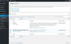 Page screenshot: Plugins ‹ Test site — WordPress