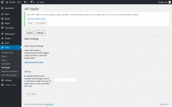 Page screenshot: Tools → WP Health → Settings
