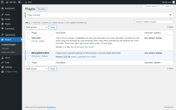 Page screenshot: Plugins &lsaquo; Test site &mdash; WordPress