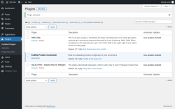 Page screenshot: Plugins &lsaquo; Test site &mdash; WordPress