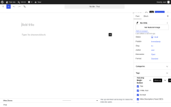 Page screenshot: Add Post &lsaquo; Test site &mdash; WordPress