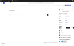 Page screenshot: Add Page &lsaquo; Test site &mdash; WordPress